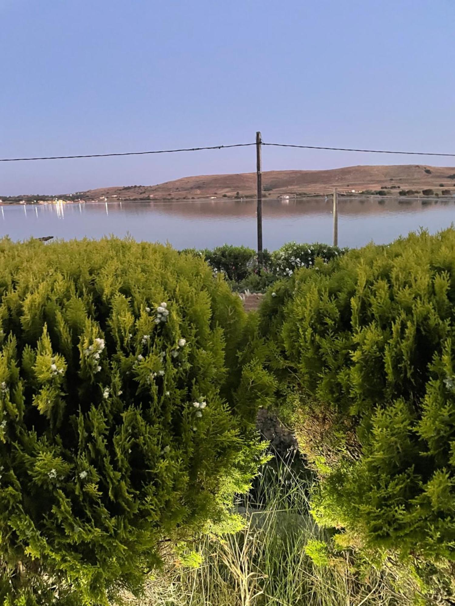Villa Lagosta فاروس المظهر الخارجي الصورة
